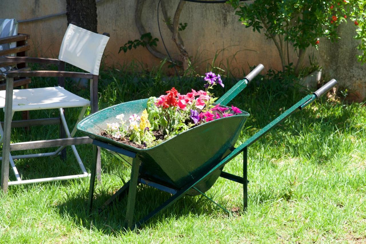 Sunnyside House Kefalonia Livathos  エクステリア 写真
